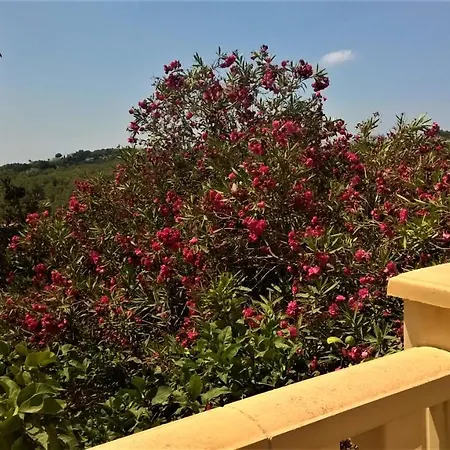 With Sea View בית אירוח *